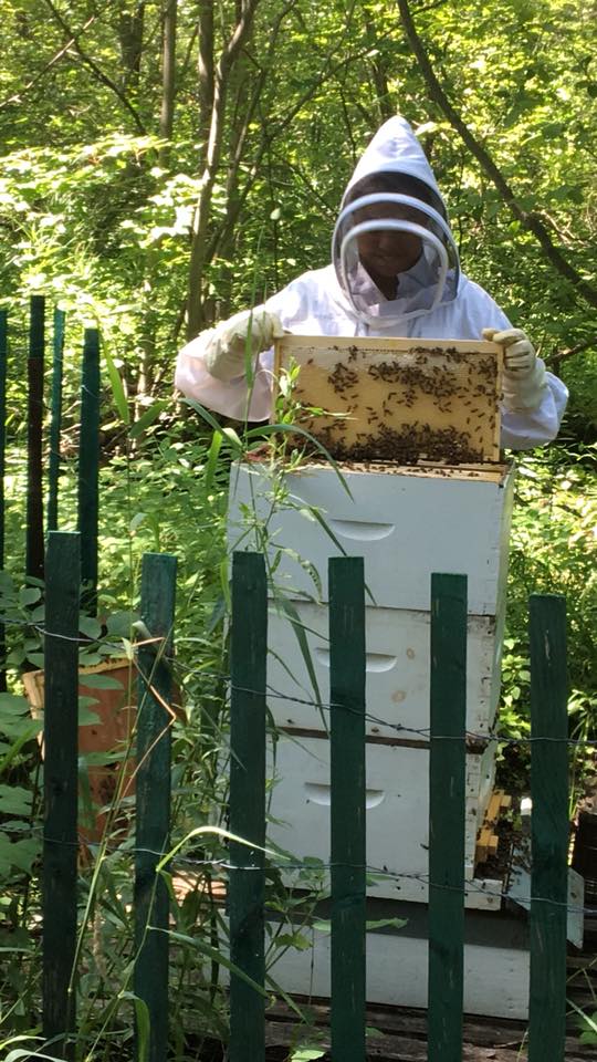apiculture-plein-air-lestacade